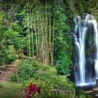 Водопады Бали: водопад Гит Гит Все водопады на карте