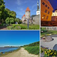 رحلات إلى دول البلطيق - ليتوانيا ولاتفيا وإستونيا أصل مصطلح البلطيق